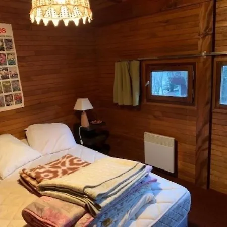 Chalet Mont-dore, 5 Pieces, 9 Personnes - Fr-1-415-88