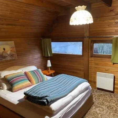 Chalet Mont-dore, 5 Pieces, 9 Personnes - Fr-1-415-88 *